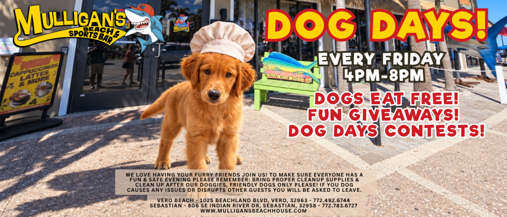 Dog Days every Friday 4pm to 8pm: dogs eat free, giveaways and contests