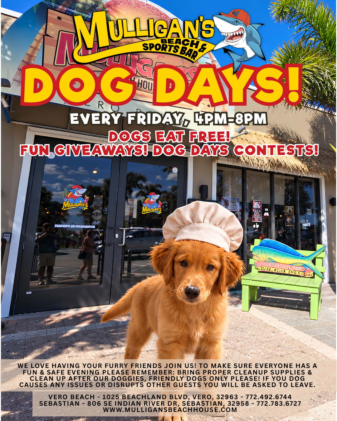 Dog Days every Friday 4pm to 8pm: dogs eat free, giveaways and contests
